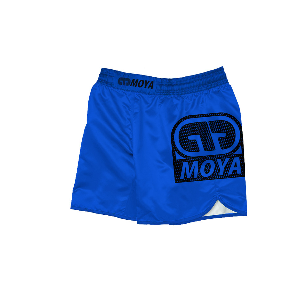 26 BLUE TRAINING SHORTS