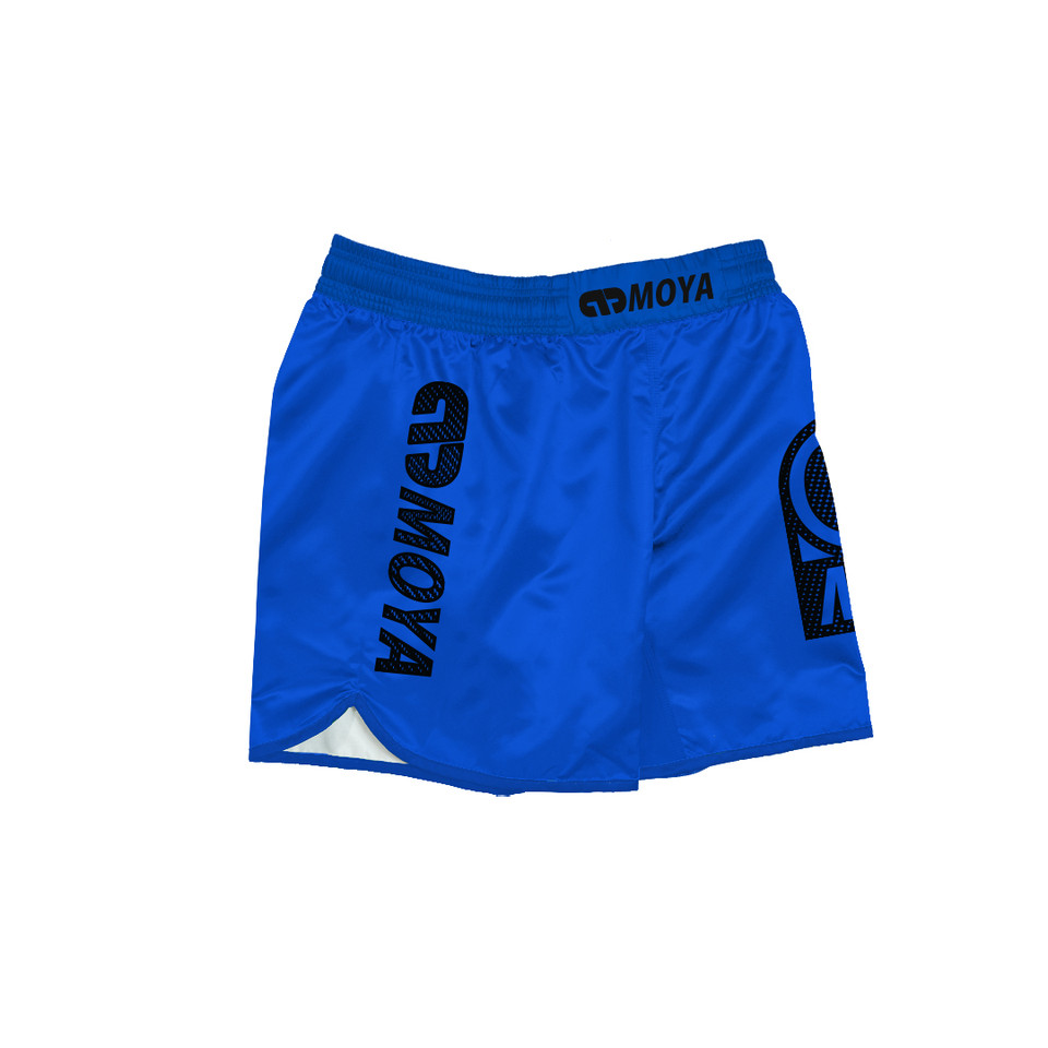 26 BLUE TRAINING SHORTS