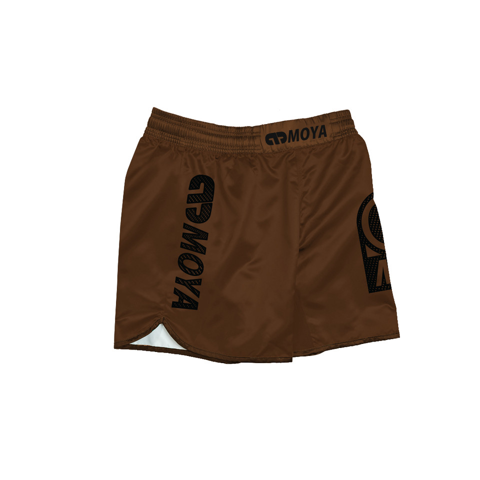 26 BROWN TRAINING SHORTS