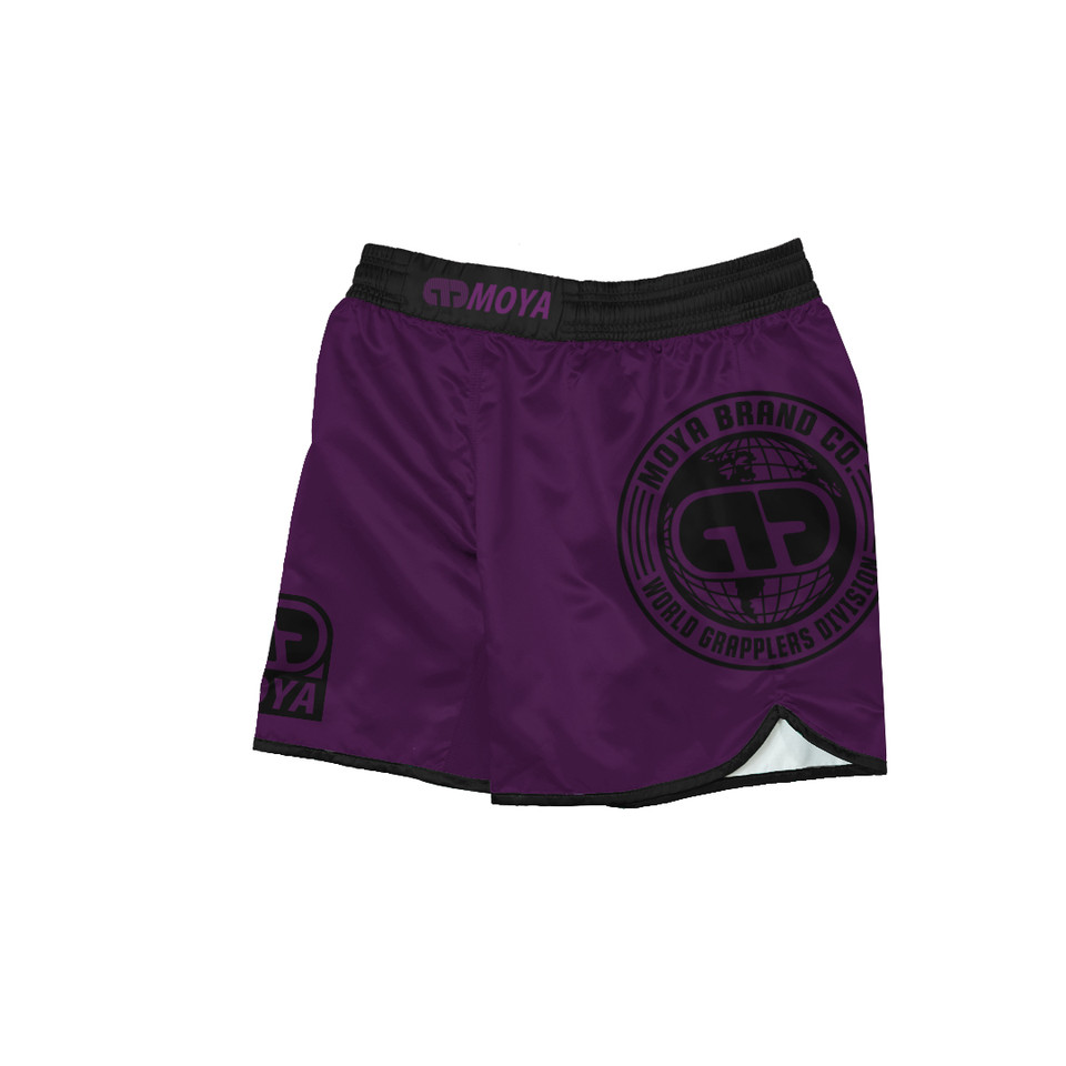25 PURPLE TRAINING SHORTS