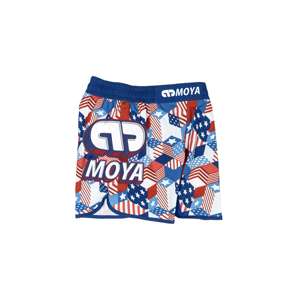STARS & STRIPES TRAINING SHORTS